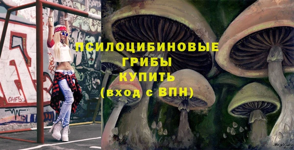 стафф Верхний Тагил