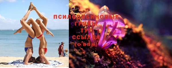 трава Верхнеуральск