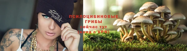 трава Верхнеуральск