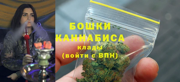 твердый Пересвет