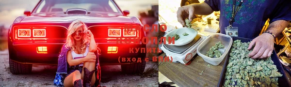 стафф Верхний Тагил