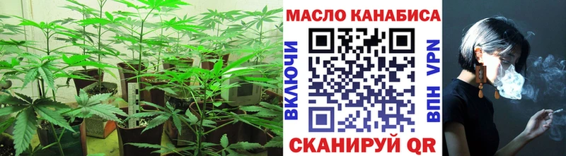 МЕГА tor  цена   Рузаевка  ТГК вейп 